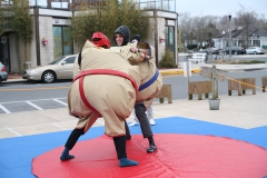 sumo-wrestling-2