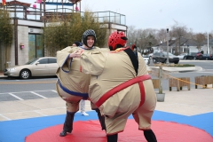 sumo-wrestling-7